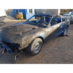 Ford Mustang - Burnt Out